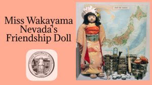 Miss Wakayama Zoom Background