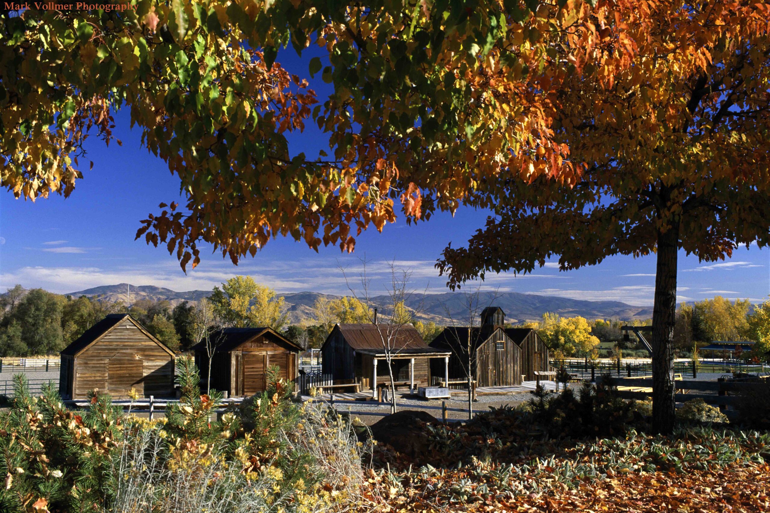 Bartley Ranch in the Fall by Mark Vollmer